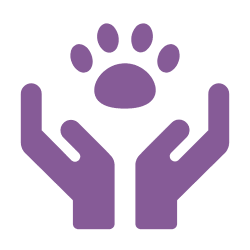 icon-18.png